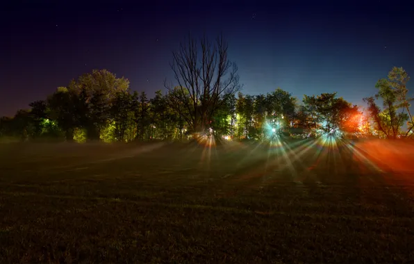 Картинка поле, лучи, свет, деревья, ночь, огни, фото, пейзажи