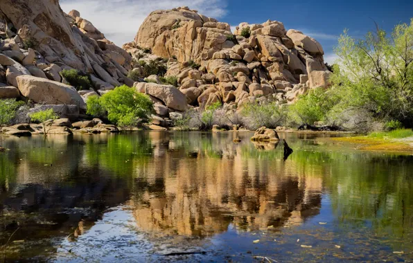 Природа, озеро, камни, скалы, Калифорния, США, Национальный парк, Joshua Tree National Park