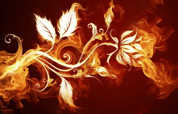 Картинка цветок, огонь, лепестки