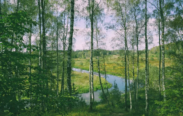 Картинка осень, небо, облака, деревья, природа, Россия, речка, сентябрь