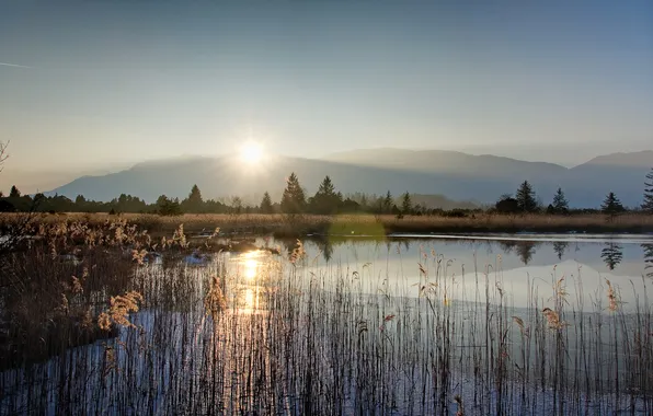 Картинка солнце, озеро, кмыш