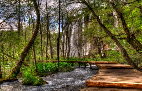 Зелень, лес, деревья, скала, ручей, водопад, HDR, кусты