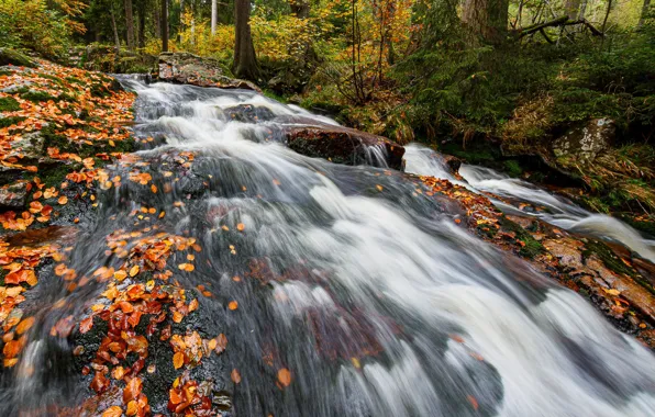 Осень, водопад, поток