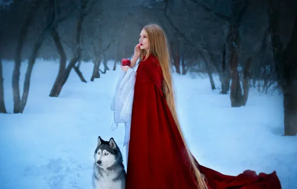 Зима, девушка, снег, собака, хаски