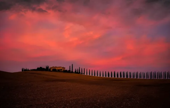 Картинка house, sky, trees, field, landscape, Italy, nature, sunset