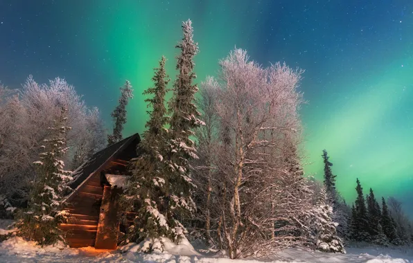 Картинка снег, деревья, дом, Зима, северное сияние, север
