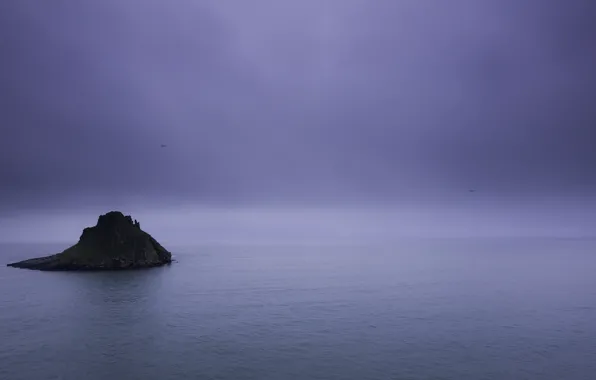 Storm, seascape, island, birds
