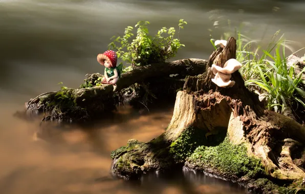 Лето, трава, вода, детство, дерево, эльф, игрушка, грибы