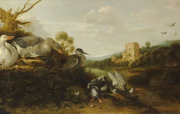Картинка животное, картина, Gijsbert Gillisz. de Hondecoeter, Водоплавающие Птицы