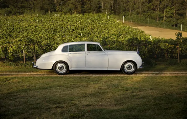 Rolls-Royce, 1961, side view, Ringbrothers, Silver Cloud, Rolls-Royce Silver Cloud II, Rolls-Royce Silver Cloud II …