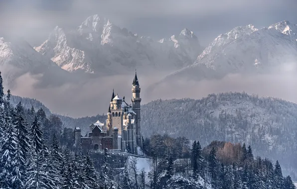 Зима, небо, облака, снег, деревья, горы, Германия, Бавария