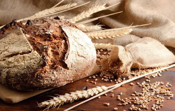 Пшеница, зерно, колоски, хлеб, ржаной