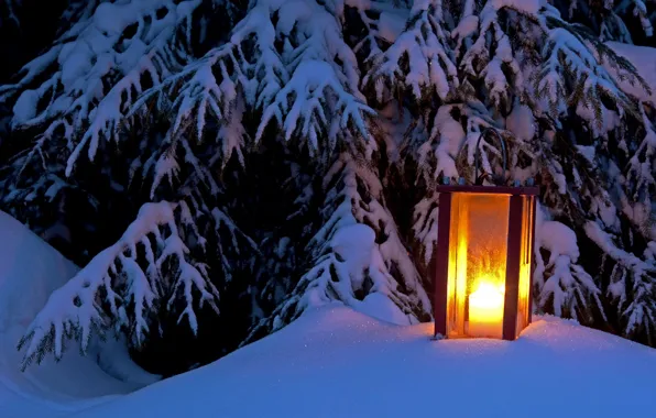 Картинка зима, свет, снег, дерево, ель, фонарь, light, winter