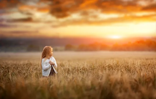 Поле, закат, природа, ребенок, вечер, девочка, Renat Fotov