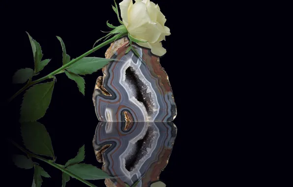 Картинка flower, stone, reflection, white rose, quartz