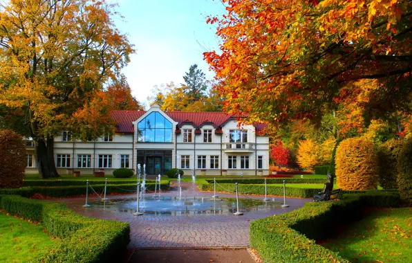 Park, garden, home