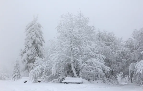 Картинка скамья, парк, снег, зима