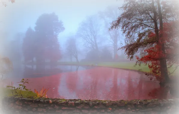 Картинка осень, пейзаж, туман, парк