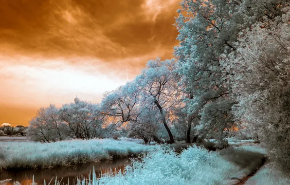 Пейзаж, природа, река