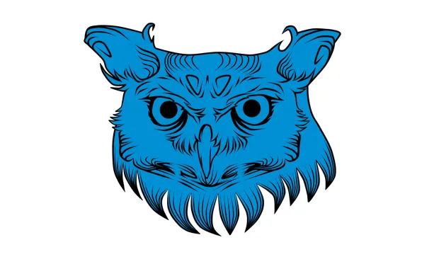 Сова, минимализм, голова, белый фон, owl