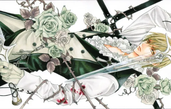 Картинка кровь, меч, белые розы, art, белая рубашка, Usui Shuusei, hotaru odagiri, uragiri wa boku no …