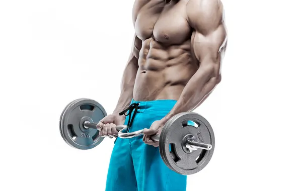 Muscles, workout, arms, abs, bodybuilder
