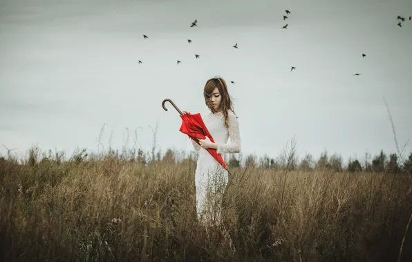 Картинка гроза, поле, девушка, птицы, волосы, платье, красный зонт, серые облака