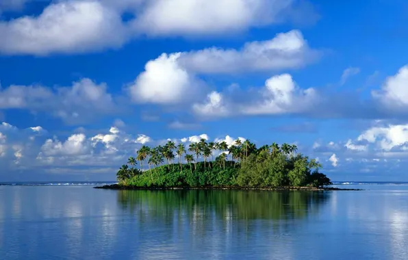 Картинка море, небо, облака, деревья, пальма, остров