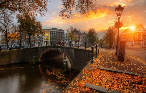 Картинка осень, закат, мост, город, листва, дома, Амстердам, канал