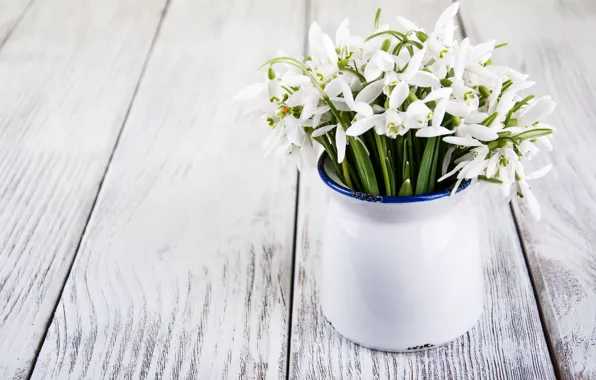 Цветы, букет, подснежники, white, белые, flowers, spring, snowdrops