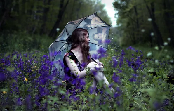 Картинка девушка, цветы, природа, настроение, зонт