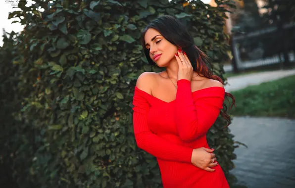 Девушка, милая, модель, брюнетка, Обои, Портрет, красивая, Sexy