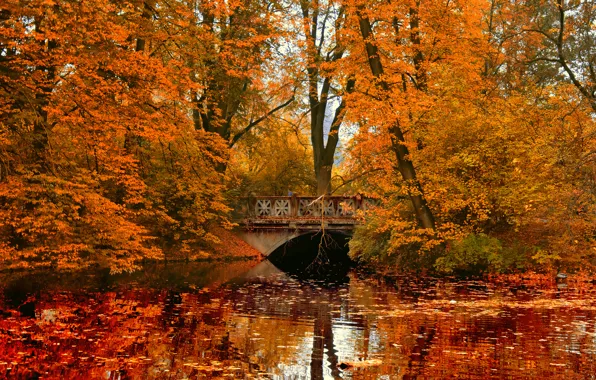 Картинка осень, мост, парк, отражение, река