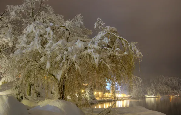 Картинка зима, снег, деревья, ночь, огни, туман, озеро, фонари