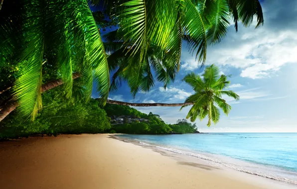 Картинка песок, море, пляж, небо, солнце, тропики, пальмы, океан