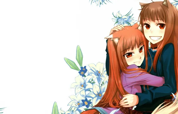 Аниме, арт, девочка, spice and wolf, волчица и пряности