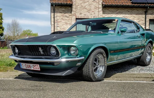 Картинка Mustang, Ford, 1969, Mach 1