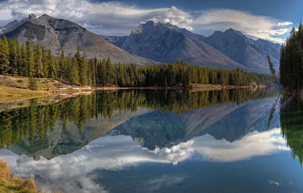 Лес, горы, озеро, отражение, Канада, Альберта, Banff National Park, Alberta