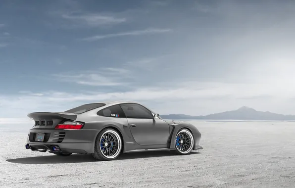 Пустыня, Porsche, серебристый, порше, блик, rear, silvery, 991