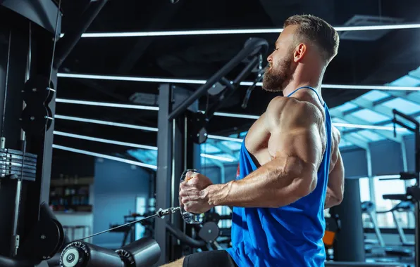 Взгляд, поза, фитнес, muscle, мышцы, атлет, тренажеры, бицепс