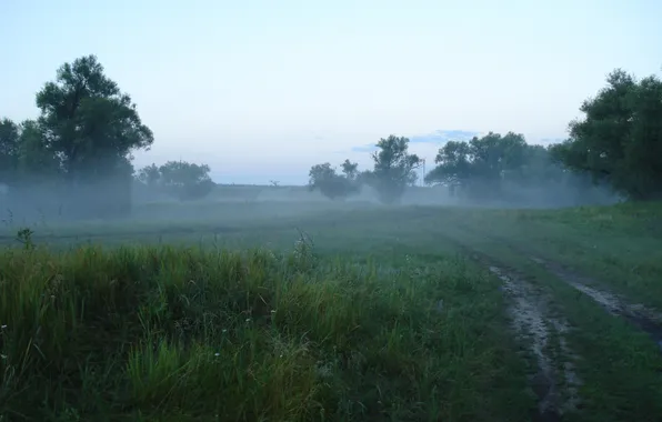 Туман, раннее утро, Поволжье