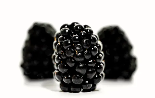 Fruit, blackberries, freshness, healthy food, healthy eating