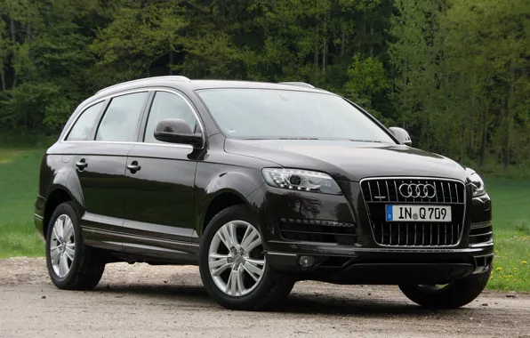 Лес, природа