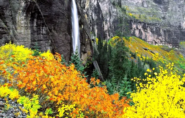 Осень, деревья, скалы, водопад, кусты