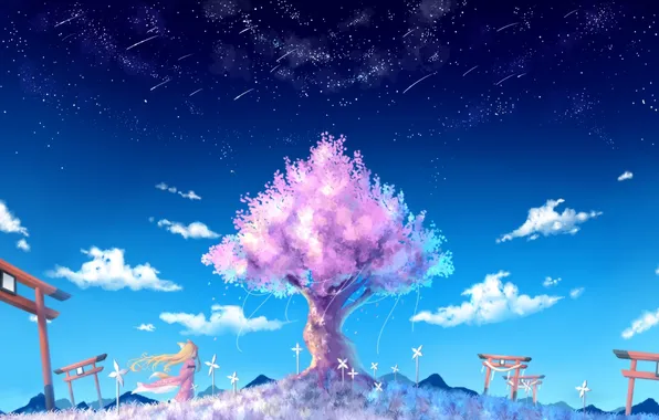 Картинка небо, девушка, звезды, облака, дерево, аниме, лепестки, сакура