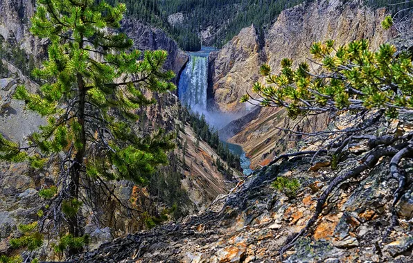Деревья, река, скалы, водопад, Wyoming, сша, Yellowstone