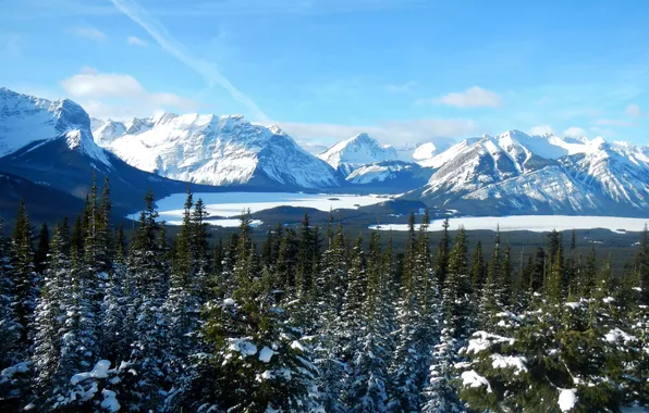 Зима, снег, деревья, горы, долина, ледник, Канада, Alberta