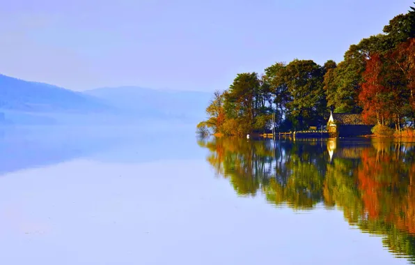 Картинка лес, озеро, домик