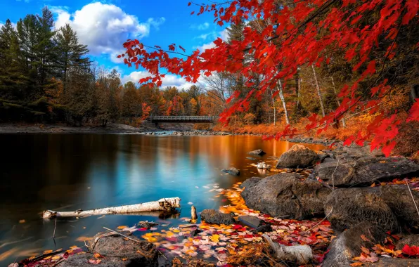 Картинка осень, листья, деревья, мост, река, камни