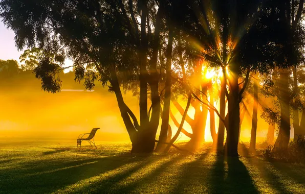 Пейзаж, природа, туман, утро